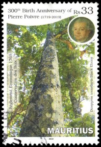 Mauritius 1197 - Used - 33r Black Ebony Tree / P. Poirre (2019) (cv $2.70)