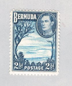 Bermuda 120 MLH Grape Bay 1938 (BP64503)