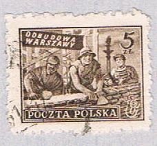 Poland Workders 5 (AP115120)