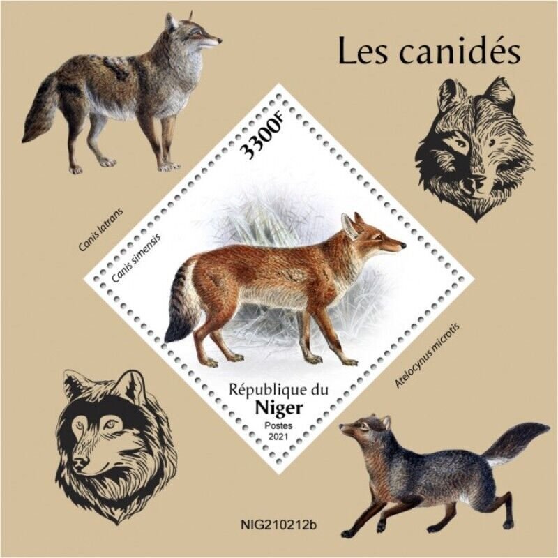 Niger - 2021 Canid Animals, Ethiopian Wolf - Stamp Souvenir Sheet - NIG210212b