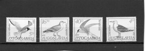 YUGOSLAVIA 1984 BIRDS SET OF 4 STAMPS MNH