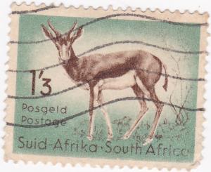 South Africa 1954 Wild Animals Springbok Used- 1/3d SG 160