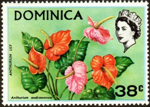 Dominica 299 - Mint-NH - 38c Anthurium Lily (1970) (cv $0.90)