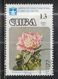 1978 Cuba - Sc C281 - used VF - 1 single - Cactus