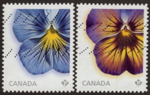 2812-3 Pansies
