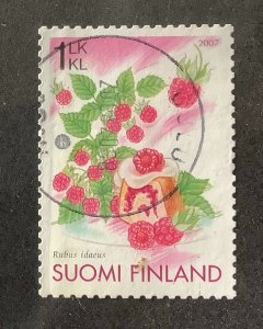 Finland 2007 Scott 1294 used - 1st klass, fruits, Raspberry cake, Raspberry