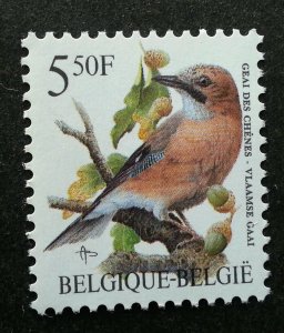 *FREE SHIP Belgium Eurasian Jay Bird 1993 Fauna (Stamp) MNH