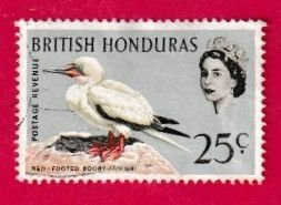 BRITISH HONDURAS SCOTT#174 1962 25c RED-FOOTED BOOBY BIRD - USED