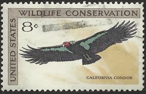 # 1430 USED CALIFORNIA CONDOR