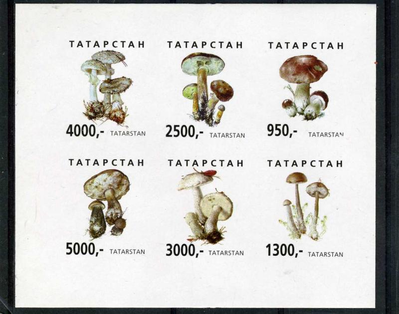 Tatarstan 1997 (Russia local Stamp) MUSHROOMS Sheet Imperforated Mint (NH)