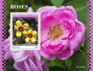 Sierra Leone - 2019 Roses on Stamps - Stamp Souvenir Sheet - SRL190909b