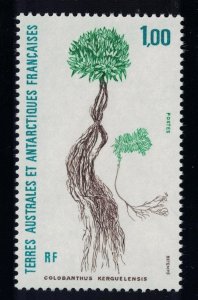 FSAT TAAF Polar Flora 'Colobanthus kerensis' 1992 MNH SG#295 MI#287