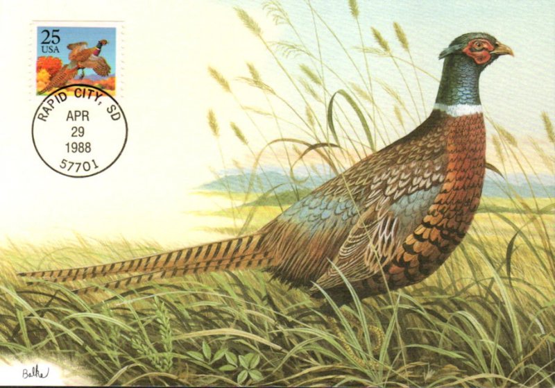 #2283 Ring-Necked Pheasant Maxi FDC