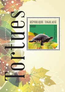 Togo 2014 -Turtles - Souvenir Sheet - MNH