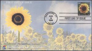 #4347 Sunflower C-Cubed FDC