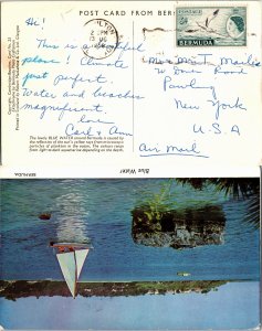 Bermuda, Picture Postcards