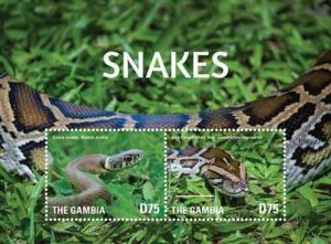 Gambia 2015 -  Snakes - Souvenir Sheet - MNH