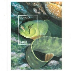 Guyana - 2000 - Tropical Fish - Souvenir Sheet - MNH