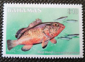 Bahamas, #618a, $10 Red Hind fish, MLH, SCV$21.00