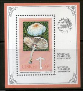 Ciskei 1987 Edible Mushrooms Fungi Plant M/s Sc 103a MNH # 2997