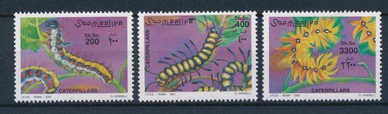 [28486] Somalia 2001 Insects Insekten Insectes Caterpillars MNH