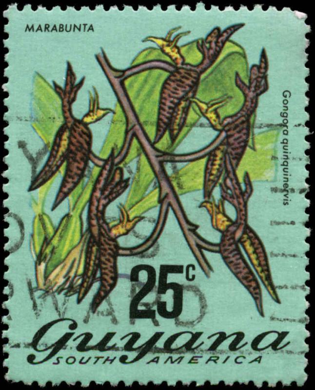 Guyana Scott #141 Used