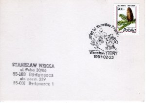 Poland 1991 Scout cancel on postcard