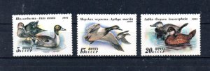 RUSSIA - 1991 - BIRDS - DUCKS - WILD DUCKS -