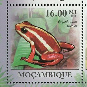 Poison-Dart Frogs Stamp Phyllobates Terribilis Dendrobates Leucomelas S/S MNH