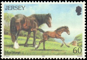 Great Britian Jersey #767-772, Complete Set(6), 1996, Horses, Never Hinged