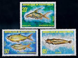 [66025] Burkina Faso Upper Volta 1979 Marine Life Fish  MLH