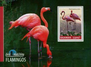 Flamingos Stamp Birds Phoenicopterus Minor Souvenir Sheet MNH #3244 / Bl.455