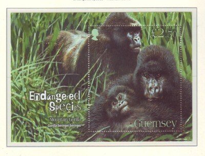 Guernsey Sc 952 2007 Mountain Gorilla stamp sheet mint NH