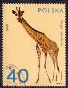 Poland - 1889 1972 Used