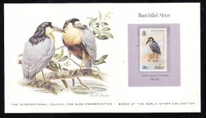 Birds of the World Stamp Collection #12a-Belize-Mint NH Boat-billed Heron stamp