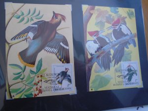 Hungary  Birds  J J  Audubon  #  2928-31/C46-47  MNH  Maxi Cards