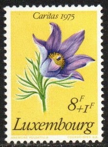 Luxembourg Sc #B306 Mint Hinged