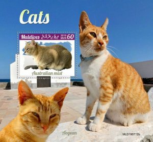 Z08 IMPERF MLD190712b MALDIVES 2019 Cats MNH ** Postfrisch