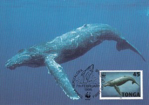 Tonga 1996 Maxicard Sc #915 45s Humpback whale WWF