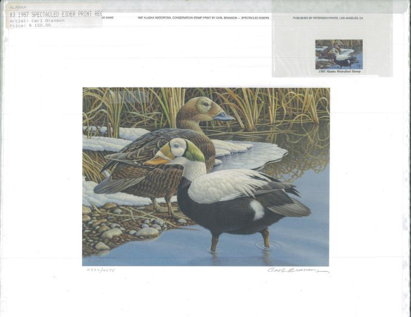 ALASKA #3 1987  STATE DUCK STAMP PRINT REGULAR ED  SPECTACLED EIDERS.Reg $150