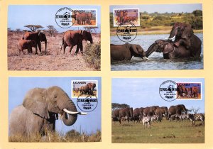 Uganda WWF World Wild Fund for Nature maxicards elephant