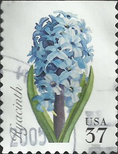 # 3900 USED HYACINTH