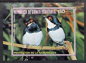 Equatorial Guinea 1976 European Birds perf m/sheet unmoun...