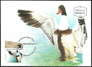 Israel 1989 Shelduck Ducks Of Israel Maximum Card 