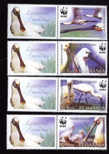 2006 Romania STAMPS BIRDS Protected birds Pelicans WWF full set with labels