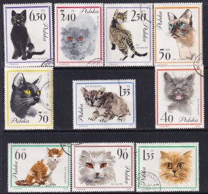 Poland 1964 Sc 1216-25 Various Breeds European Siamese Persian Cats Stamp CTO