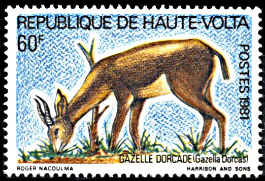 Upper Volta 580, MNH, Dorcas Gazelle