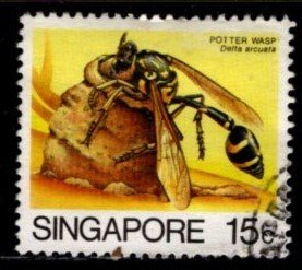 Singapore - #455 Potter Wasp - Used