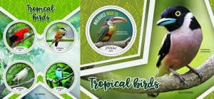 Z08 MLD190308ab MALDIVES 2019 Tropical birds MNH ** Postfrisch