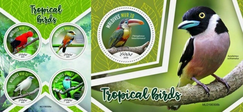 Z08 IMPERF MLD190308ab MALDIVES 2019 Tropical birds MNH ** Postfrisch